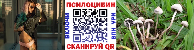 Галлюциногенные грибы ЛСД  как найти закладки  Полярные Зори 